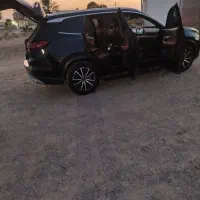 تک برگ سند