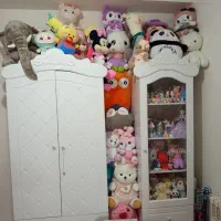 کمد و ویترین کودک