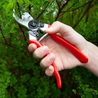 قیچی باغبانی  حرفه ای|ابزارآلات|کرمان, |دیوار