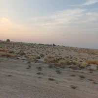 زمین|فروش دفتر صنعتی، کشاورزی، تجاری|چغادک, |دیوار