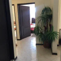 آپارتمان مبله روزانه هفتگی ماهانه|اجارهٔ کوتاهمدت آپارتمان و سوئیت|شیراز, شهرک والفجر|دیوار