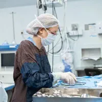 دستیار جراحی در مطب