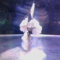 فروش انواع نژاد ماهی فایتر ، جفت خورده ، آکواریوم