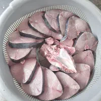 خدمات بسته بندی و فروش ماهی و میگو صید خلیج فارس|ماهی|بندرعباس, |دیوار