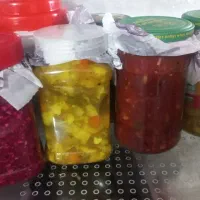 سالاد فصل گوجه ای شوری|خدمات پذیرایی، مراسم|زاهدان, |دیوار