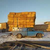 کاه گندم وشالی