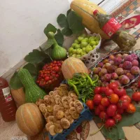 محصولات ارگانیک طارم & رشت دایی رضا