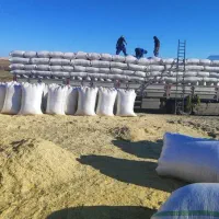 دیم سفید بدون گرد و خاک|عمده‌فروشی|مشهد, انقلاب|دیوار