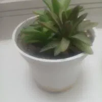 لوازم‌خانه