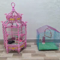 قفس پرنده