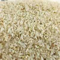 برنج محلی استان گلستان|خوردنی و آشامیدنی|طبس, |دیوار