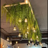 استخدام باریستا و نون تونسی زن|استخدام خدمات فروشگاه و رستوران|بندرعباس, |دیوار