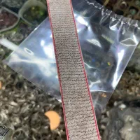 حرز امام جواد اصل دست نویس