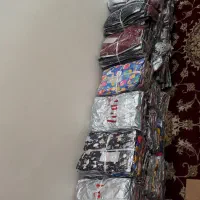 فروش ساپورت گیاهی لیدی