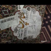 فرش|فرش|قم, نوبهار|دیوار