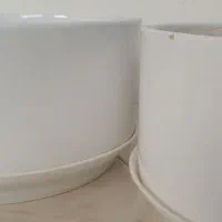 گلدان با زیری|گل و گیاه طبیعی|مشهد, انقلاب|دیوار