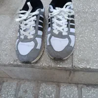 کفش آدیداس اسپورت نو