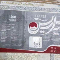 فرش ماشینی9متری ،طوسی سوسنی طرح افشان|فرش|گلستان (تهران), |دیوار