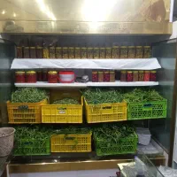 تعمیرات تخصصی یخچال  خانگی وفروشگاه|خدمات پیشه و مهارت|پیشوا, |دیوار