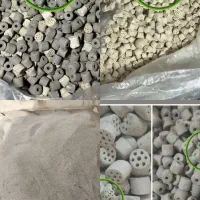 کاتالیست نقره