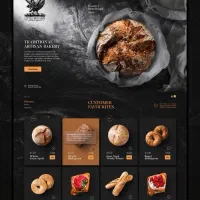 طراحی انواع سایت