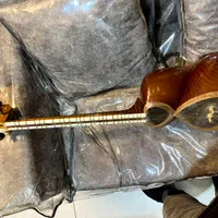 تار در حد|سازهای سنتی|شهرضا, |دیوار