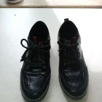 کفش|کیف، کفش، کمربند|زنجان, |دیوار