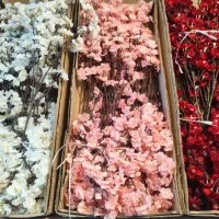 شکوفه سه بازو