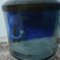 آکواریوم ماهی