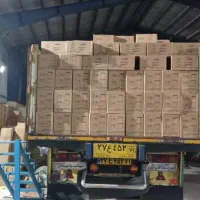 استخدام نیرو