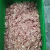 خرده مرغ (بچه فیله)|عمدهفروشی|شریفآباد, |دیوار