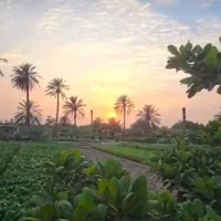 زمین-کشاورزی-در-گورک-خیش-اشکن