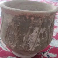 گلدان گل گلی|گل و گیاه طبیعی|اصفهان, رسالت|دیوار