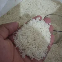 برنج فجر ۹۰روزه وباقلی درجه یک|خوردنی و آشامیدنی|خان ببین, |دیوار