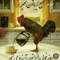 نیاز به سرمایه دارم