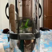 سبزی خورد کن|خردکن، آسیاب، غذاساز|سمنان, |دیوار