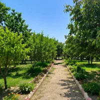 باغ برای ویلا سازی