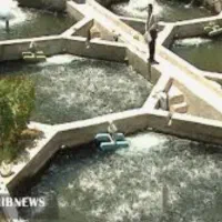 مشارکت در پرورش ماهی