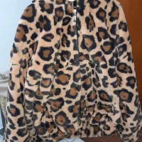 کاپشن تدی|لباس|رشت, دروازه لاکان|دیوار