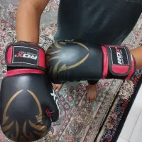 دستکش بوکس اصلی|تجهیزات ورزشی|مشهد, مهدی آباد|دیوار