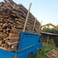 خریدار چوب  ساختمانی .صنوبر ومیوه ای وجنگلی .