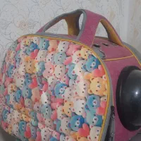 لوازم جانبی سگ