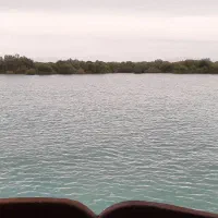جزیره گردی