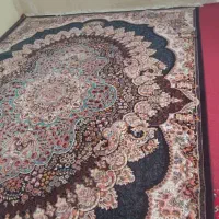 دو تخته فرش ۱۲ متری تمام نخ گوشتی ۷۰۰ شانه واقعی|فرش|تهران, افسریه شمالی|دیوار