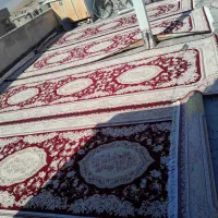 قالی ۱ونیم در۴ متر تمیز شسته شده|فرش|کامیاران, |دیوار