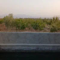 باغچه دارای درختان ۷ ساله ی بارده و استخر بزرگ|فروش خانه و ویلا|قم, انسجام|دیوار