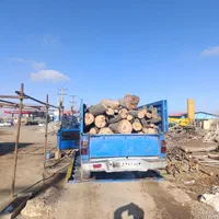 خرید چوب|خدمات باغبانی و درختکاری|زنجان, |دیوار