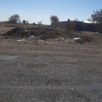 کودحیوانی