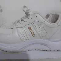 کفش تازه خریداری شده