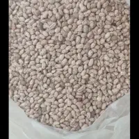 لوبیا چیتی ارگانیک